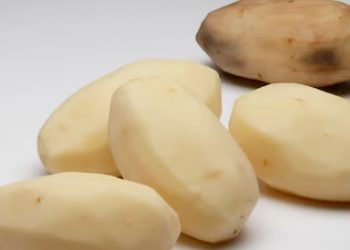 A Case Study in Regulatory Gridlock: The Seven-Year (and Counting) Saga of a GM Potato in South Korea