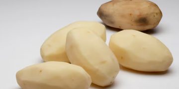 A Case Study in Regulatory Gridlock: The Seven-Year (and Counting) Saga of a GM Potato in South Korea