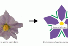 들판에서 로고까지: 겸손한 감자 꽃이 벨라루스의 농업 관광 브랜드를 어떻게 재편하고 있는가