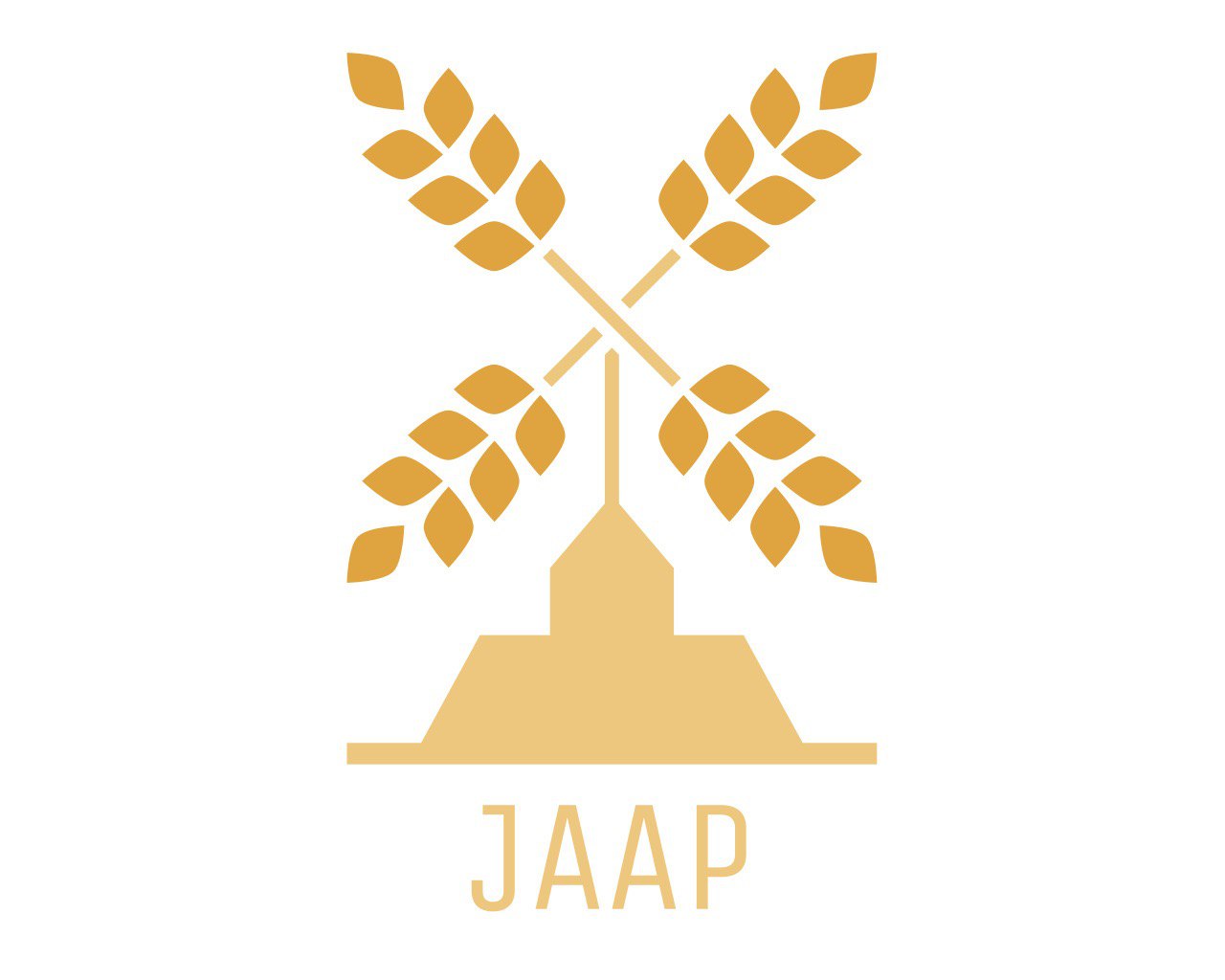 REGIONAL PARTNER IN EGYPT