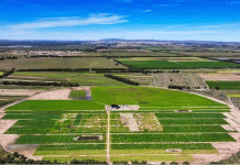 មហាសេដ្ឋីបារាំង Fry៖ របៀបដែលទីក្រុងចិនដុតនូវបាតុភូតអាហារសម្រន់ 100 ពាន់លាន