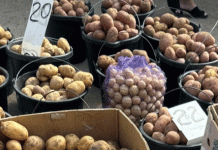 La paradoja de la patata astracán: el desplome de precios se une a las preocupaciones por la calidad – Un análisis de mercado