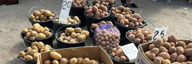 The Astrakhan Potato Paradox: Price Collapse Meets Quality Concerns – A Market Analysis