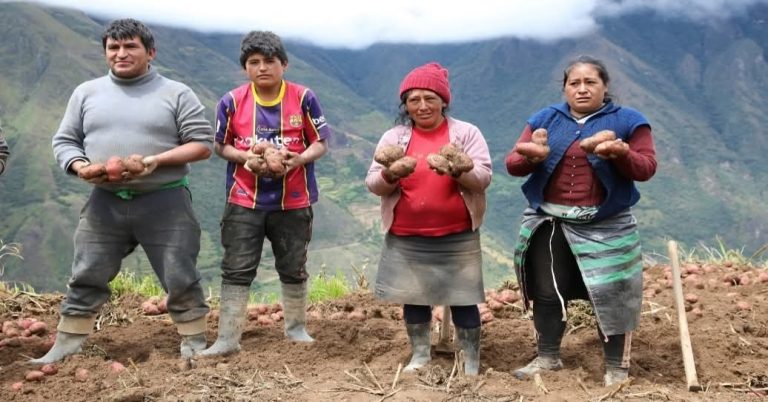 Na h-Andes ag Èirigh: Mar a tha Prògram Haku Wiñay ag Atharrachadh Tuathanachas Buntàta ann am Peru