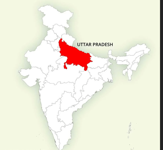 Unseasonal Heat Slashes Potato Yields in Uttar Pradesh by 30% 81 Unseasonal Heat Slashes Potato Yields in Uttar Pradesh by 30%