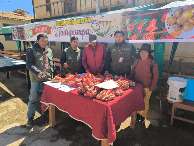 Celebrating Biodiversity: Tauripampa’s Native Potato Festival Unites Tradition, Innovation, and Sustainability 18 Celebrating Biodiversity: Tauripampa’s Native Potato Festival Unites Tradition, Innovation, and Sustainability