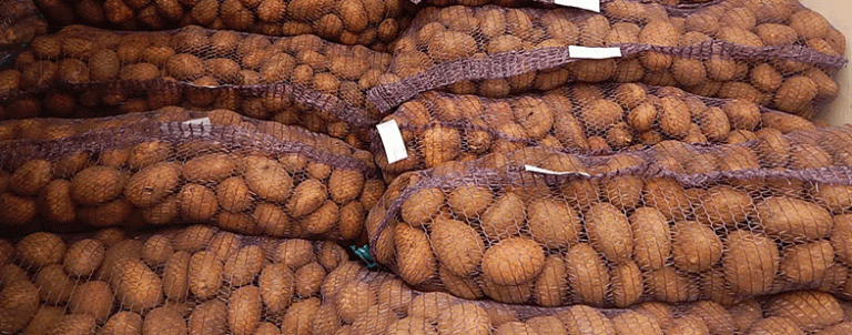 Potato Shortages in Switzerland: Declining Harvests, Rising Imports, and Future Challenges