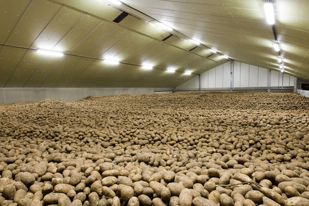 Colombia Unveils Latin America’s Largest Potato Storage Center: A Game-Changer for Farmers and Sustainable Agriculture