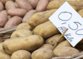European Processing Potato Prices Remain Steady Amidst Market Fluctuations