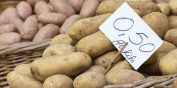 European Processing Potato Prices Remain Steady Amidst Market Fluctuations