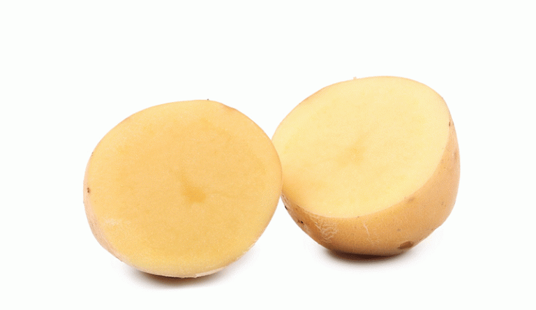 Gene-Edited Crops Take Root in England: How Non-Browning Potatoes Could Revolutionize Farming and Reduce Waste 42 Gene-Edited Crops Take Root in England: How Non-Browning Potatoes Could Revolutionize Farming and Reduce Waste