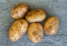 To Wash or Not to Wash: The Science Behind Potato Storage Practices