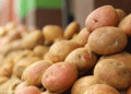2025 Potato Season: Strong Start but Weather and Market Shifts Pose Challenges