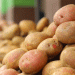 2025 Potato Season: Strong Start but Weather and Market Shifts Pose Challenges