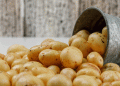 Revolutionizing Potato Farming: St. Petersburg Scientists Develop Method for Homegrown Potatoes