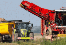 France Emerges as Europe’s Potato Processing Powerhouse: A New Era of Competition and Growth