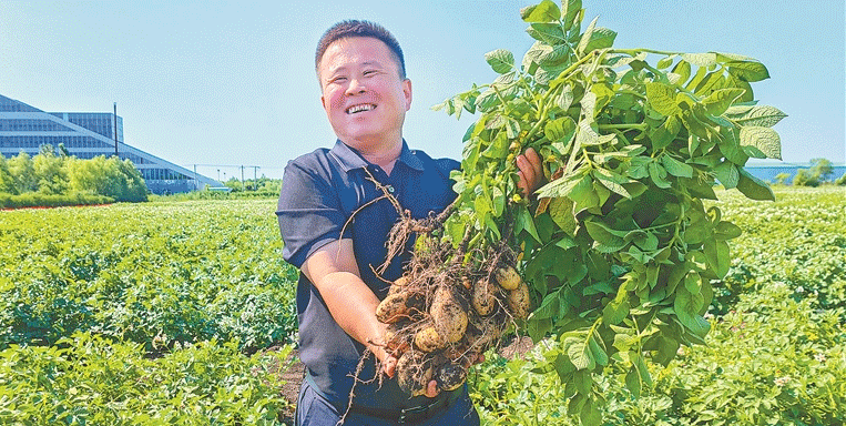 The Future of Potato Farming: How Technology and Innovation Are Revolutionizing the Industry