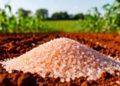 Exchange Trading Surge: How New Delivery Terms Are Transforming the Fertilizer Market