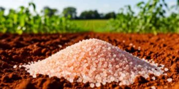 Exchange Trading Surge: How New Delivery Terms Are Transforming the Fertilizer Market