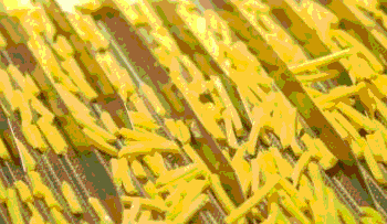 From Field to Flight Tray: Egypt’s Strategic Pivot to High-Value Agri-Processing and Its Implications for Producers