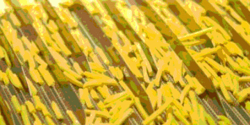 From Field to Flight Tray: Egypt’s Strategic Pivot to High-Value Agri-Processing and Its Implications for Producers