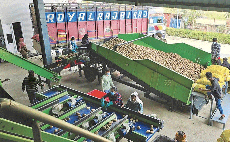 Vom Himalaya-Boden zu globalen Lieferketten: Ein Fahrplan für die Transformation der Landwirtschaft