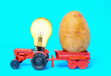 Unlocking Potato Resilience: 29 Stress-Tolerance Genes Identified in Groundbreaking Cellular Research