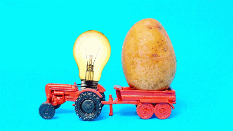 Unlocking Potato Resilience: 29 Stress-Tolerance Genes Identified in Groundbreaking Cellular Research