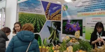Chuvashia Hosts “Potato-2026”: A Critical Gathering for Russia’s Seed Independence and Agricultural Technology