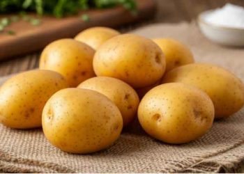 South Korea’s Seven-Year GMO Approval Process Sparks Trade Concerns and Calls for Reform