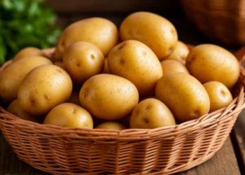 35 Years of Trial and Error: A Gardener Names 5 Potato Varieties She Has Planted for 7 Straight Years