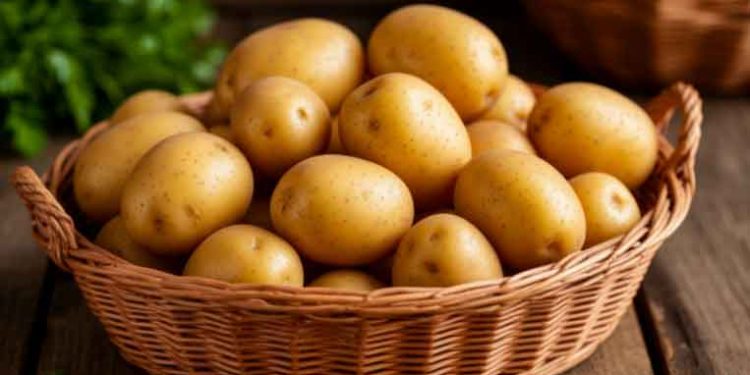 35 Years of Trial and Error: A Gardener Names 5 Potato Varieties She Has Planted for 7 Straight Years