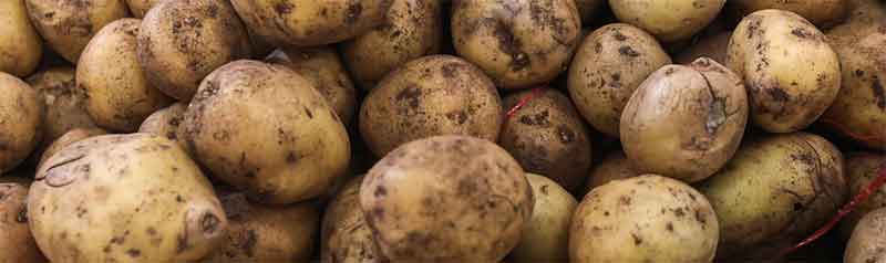FAS lehnt Angebot der Kartoffelgenossenschaft für Mindesteinzelhandelspreis ab