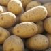  Iran Halts Potato Exports Amid Domestic Price Surge