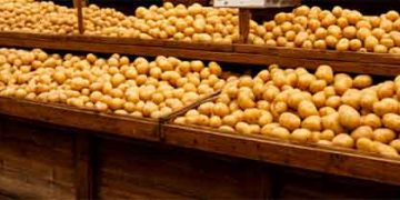 Beyond the Fine: A Case Study in Pesticide Compliance and Why Digital Traceability is Non-Negotiable