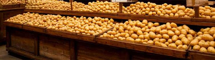 Beyond the Fine: A Case Study in Pesticide Compliance and Why Digital Traceability is Non-Negotiable