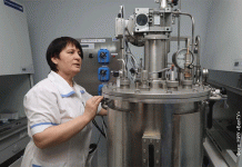 เหนือสิ่งที่มองเห็น: วิทยาศาสตร์เซลล์ในเบลโกรอดกำลังสร้างมันฝรั่งรุ่นใหม่ที่ทนทานต่อสภาพอากาศได้อย่างไร