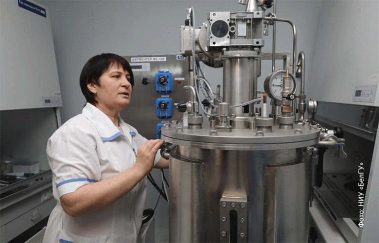 Beyond the Visible: How Cellular Science in Belgorod is Forging the Next Generation of Climate-Resilient Potatoes