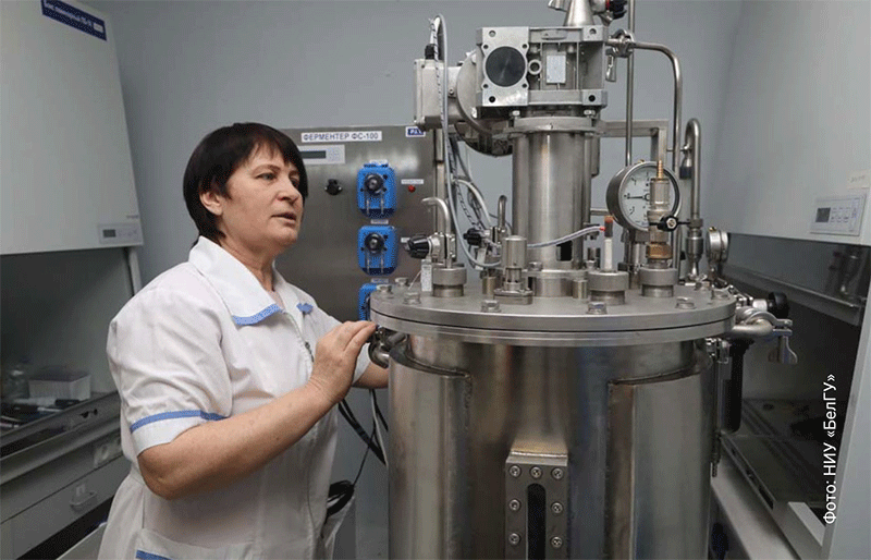 Beyond the Visible: How Cellular Science in Belgorod is Forging the Next Generation of Climate-Resilient Potatoes