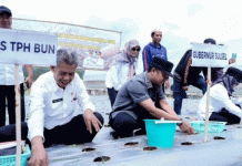 Местный семенной суверенитет: инициатива Южного Сулавеси по раздаче 350,000 XNUMX семян картофеля повышает устойчивость фермеров