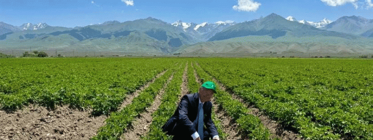 Kyrgyzstán se stává středoasijským centrem sadbových brambor: Strategický posun poháněný nizozemským partnerstvím 8 Kyrgyzstán se stává centrem sadbových brambor ve Střední Asii: Strategický posun poháněný nizozemským partnerstvím