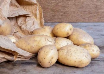 The Great British Potato Debate: Is It Time to Retire the Legendary Maris Piper?