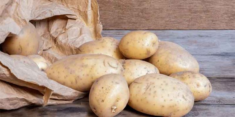 The Great British Potato Debate: Is It Time to Retire the Legendary Maris Piper?