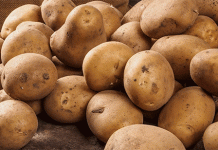 튀김 그 너머: 조리 방법이 감자의 영양가와 시장 가치를 정의하는 방식