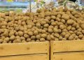 Russian Potato Growers Push for Minimum Purchase Prices Amid Market Volatility