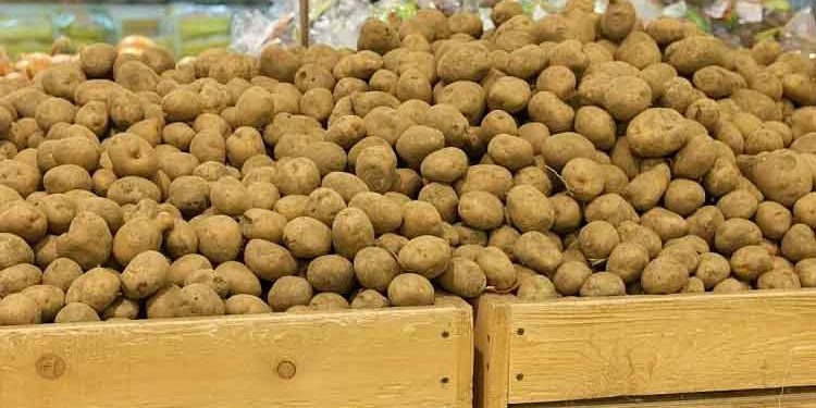 Russian Potato Growers Push for Minimum Purchase Prices Amid Market Volatility