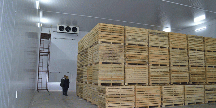 Balancing Potato Surplus and Farmer Profitability: The Case for Cold Storage Price Support in Bangladesh