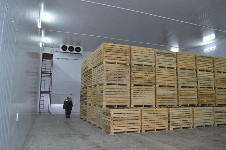 Balancing Potato Surplus and Farmer Profitability: The Case for Cold Storage Price Support in Bangladesh