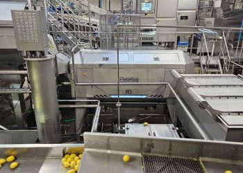 Precision Peeling Economics: How MK Agro’s Finnish Technology Partnership Is Redefining Processing Efficiency and Yield Optimization