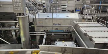 Precision Peeling Economics: How MK Agro’s Finnish Technology Partnership Is Redefining Processing Efficiency and Yield Optimization